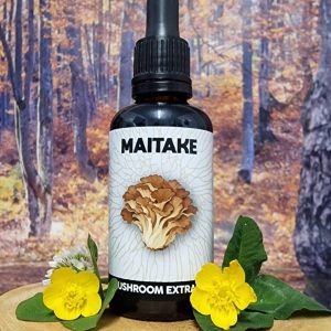 Maitake Dual extract Tincture 50ml: highest strength at 1:1 ratio