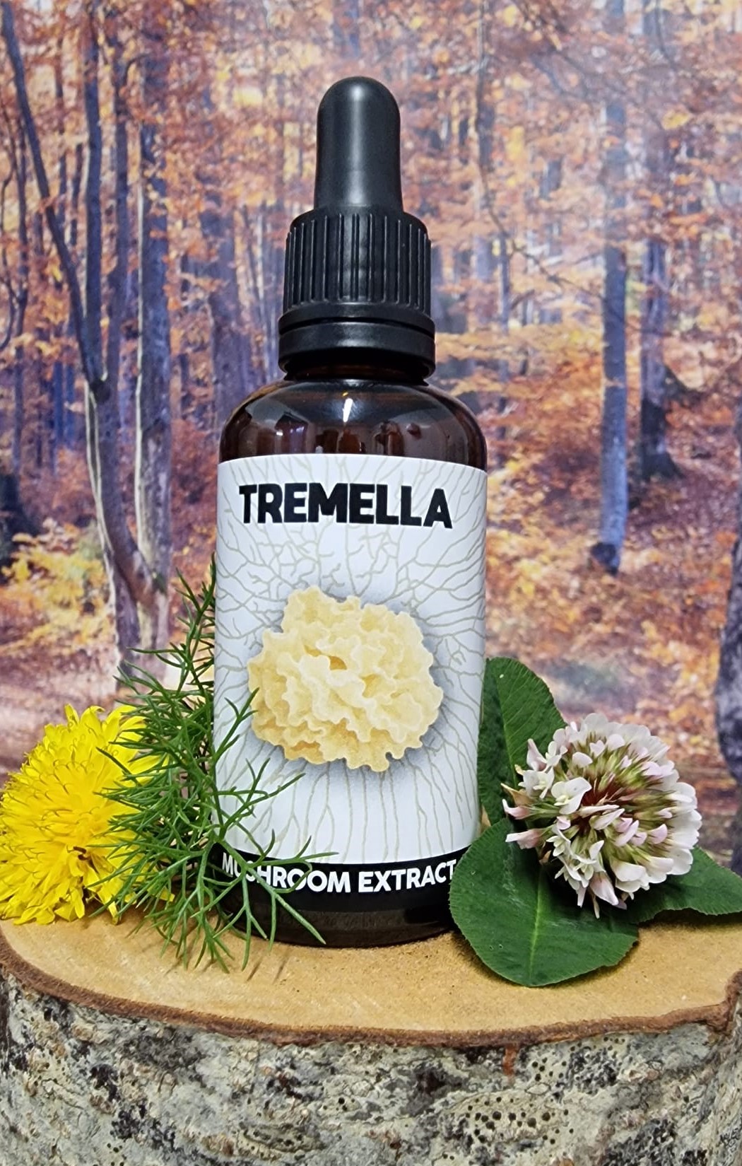 Tremella Dual Extract Tincture 50ml: highest strength at 1:1 ratio - Image 2