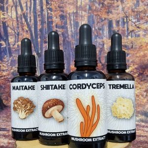 4 Duel extract tinctures: Cordyceps, Maitake, shiitake & Tremella highest ratio at 1:1